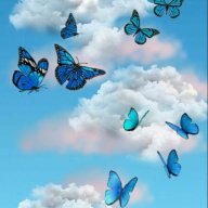 هيكاري تشان